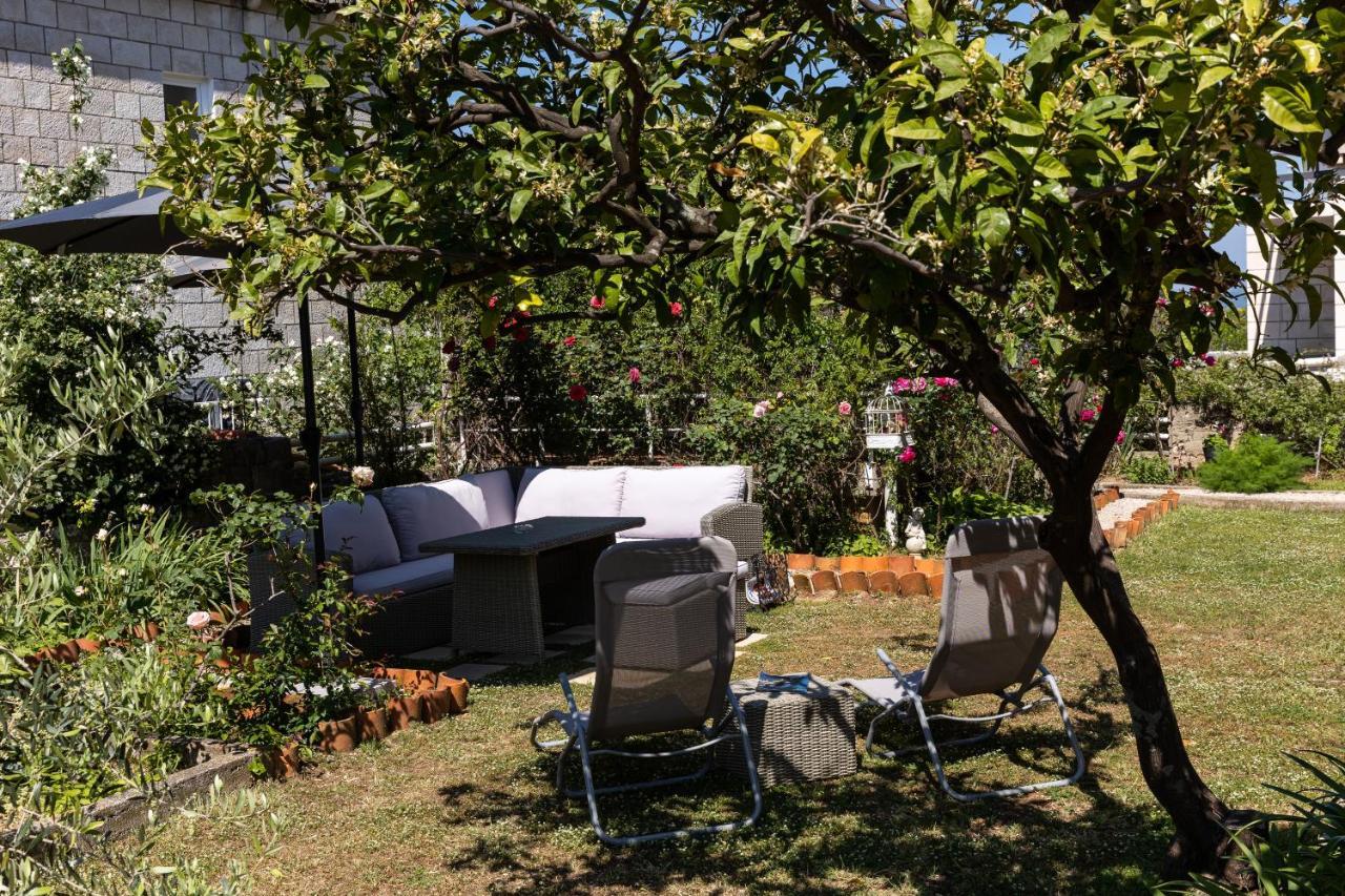 Apartma Falkoni *
